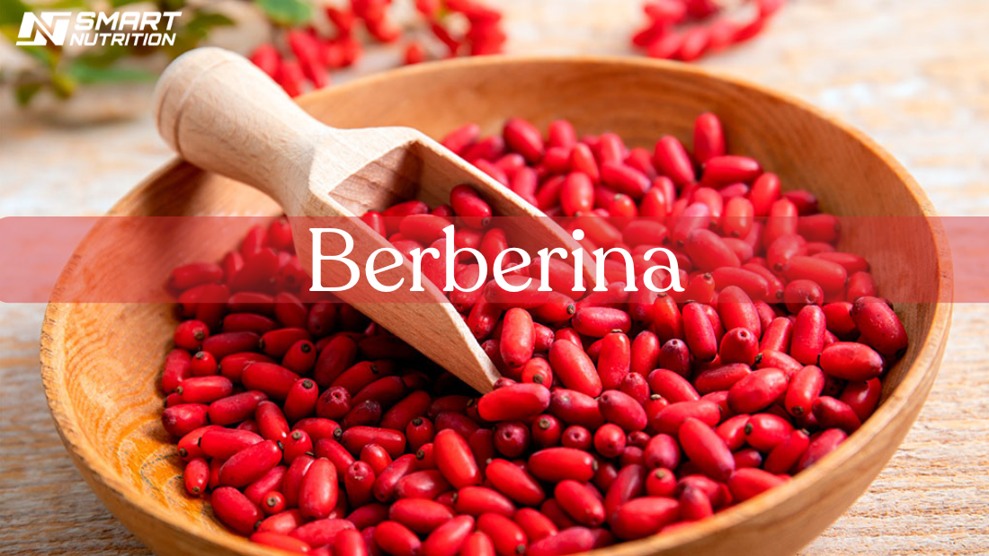 Berberina 1000 mg: el secreto natural para el control del azúcar, el metabolismo y la salud cardiovascular
