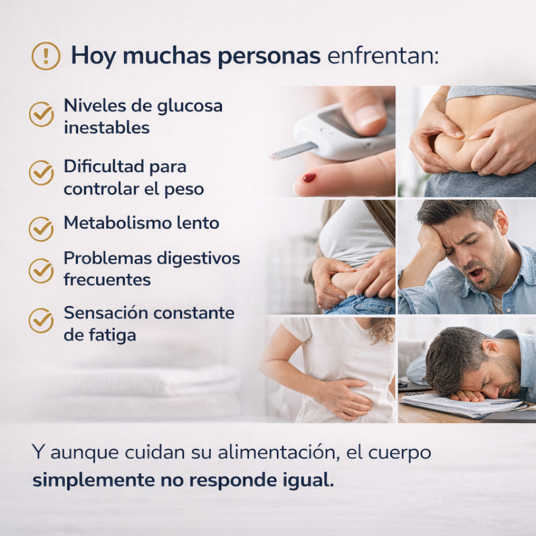 Berberina 1000 mg – Alta Pureza SmartNutrition