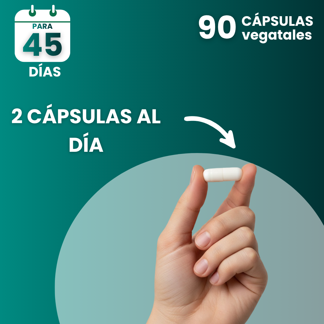 Magnesio L-Treonato 90 cápsulas vegetales SmartNutrition