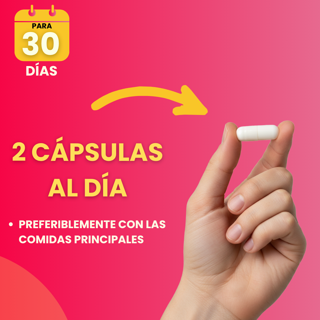Berberina 1000 mg – Alta Pureza - 60 cáps SmartNutrition