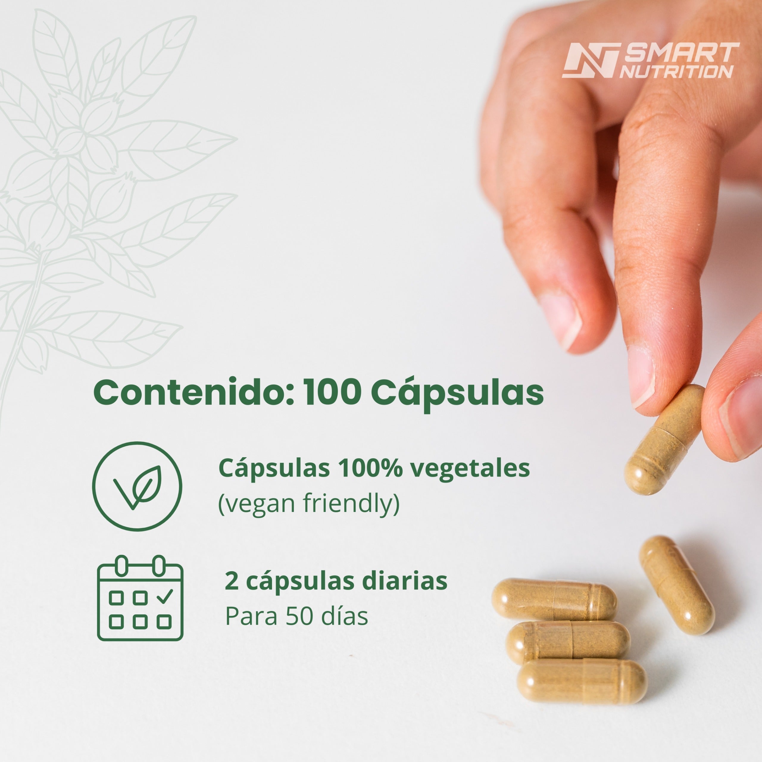 Ashwagandha - 100 Cáps / Relax